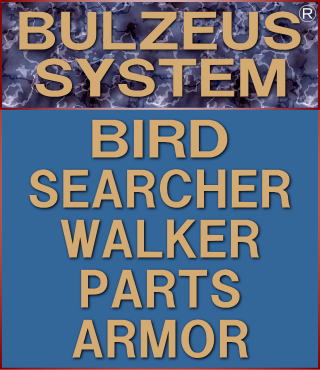 �o���V�X�e��